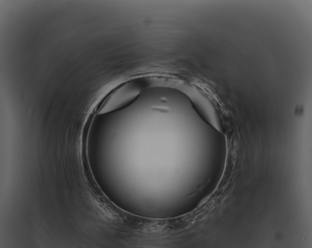 X0000095690148200801151156