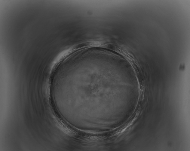 X0000095690149200801151156