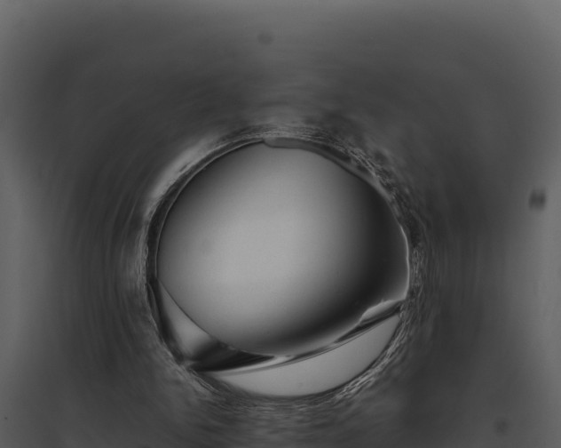 X0000095690150200801151156