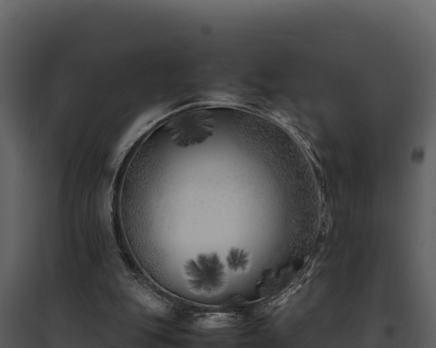 X0000095690151200801151156