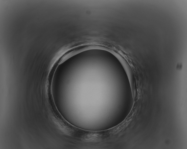 X0000095690152200801151156