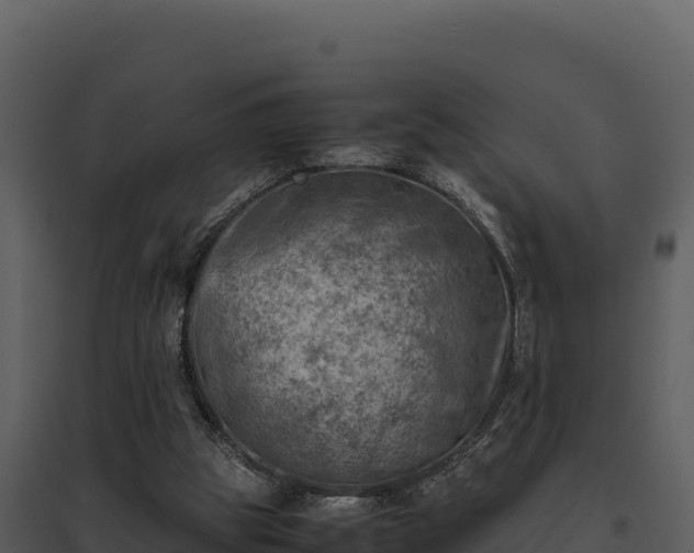 X0000095690153200801151156