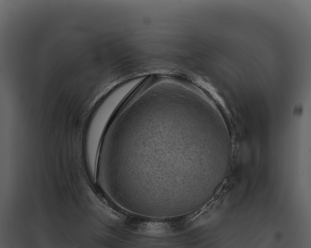 X0000095690154200801151156