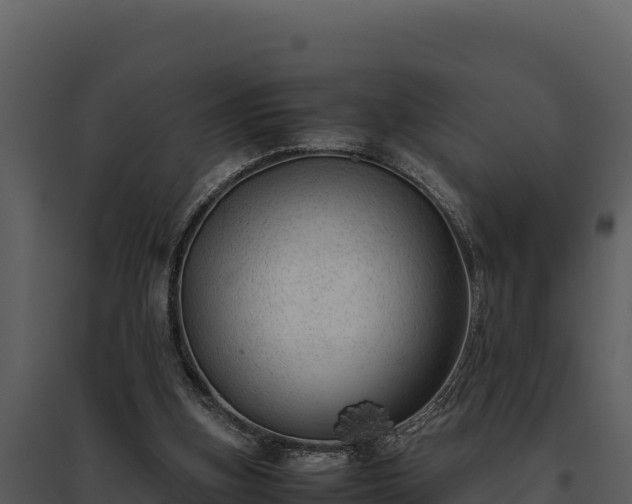 X0000095690155200801151156