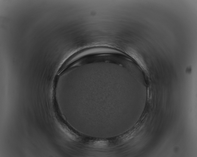 X0000095690156200801151156