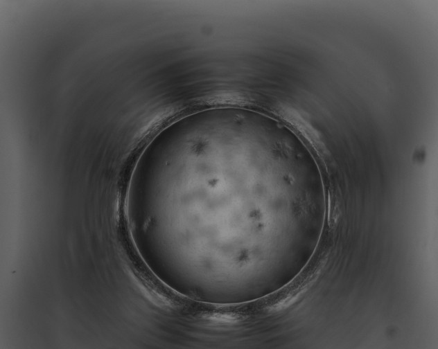 X0000095690157200801151156