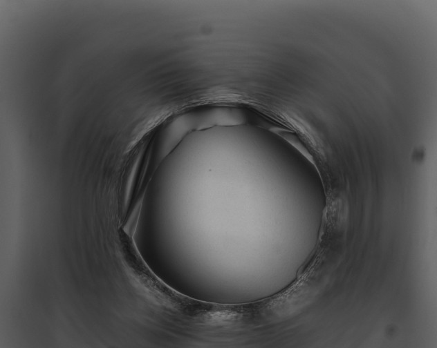 X0000095690158200801151156