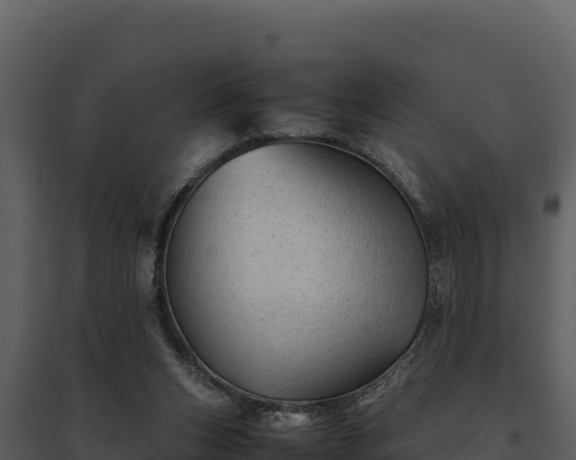 X0000095690159200801151156