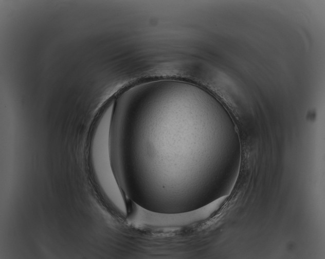 X0000095690160200801151156