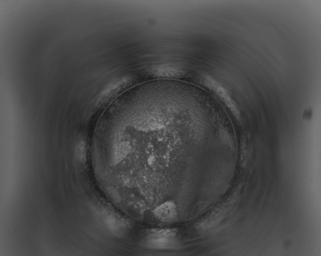 X0000095690161200801151156