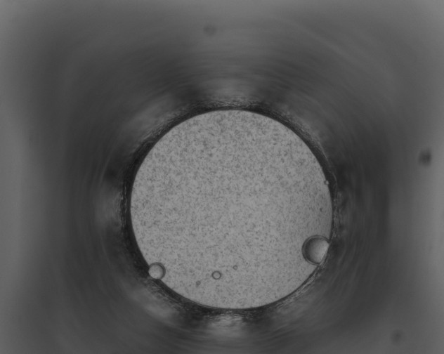 X0000095690162200801151156