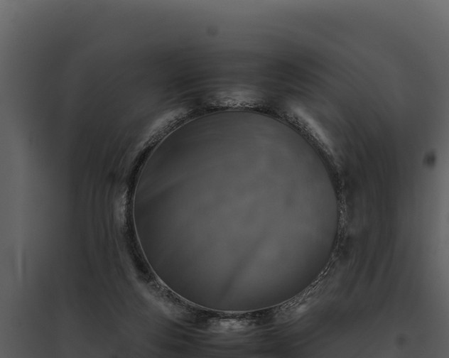 X0000095690163200801151156