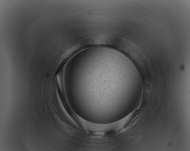 X0000095690164200801151157