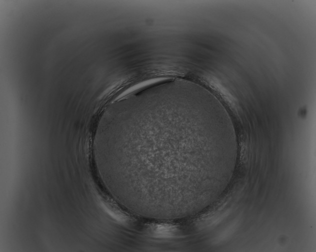 X0000095690165200801151157