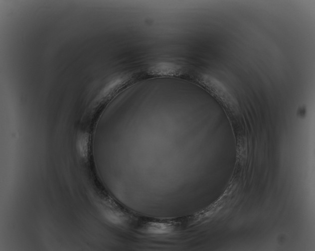 X0000095690167200801151157