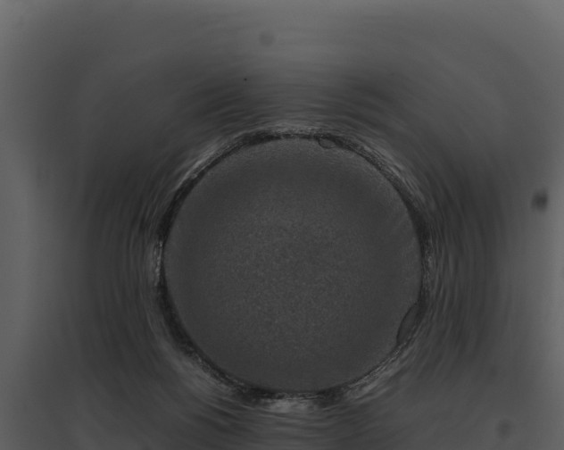 X0000095690168200801151157