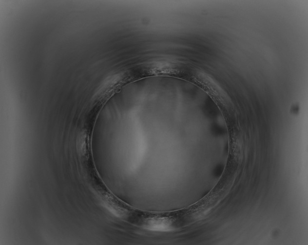 X0000095690169200801151157