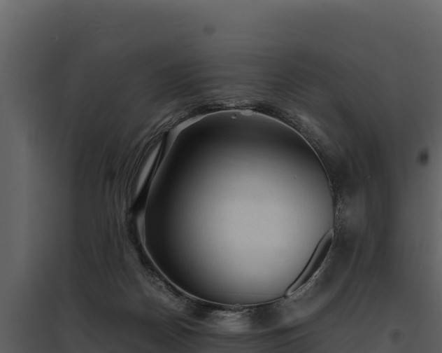 X0000095690170200801151157