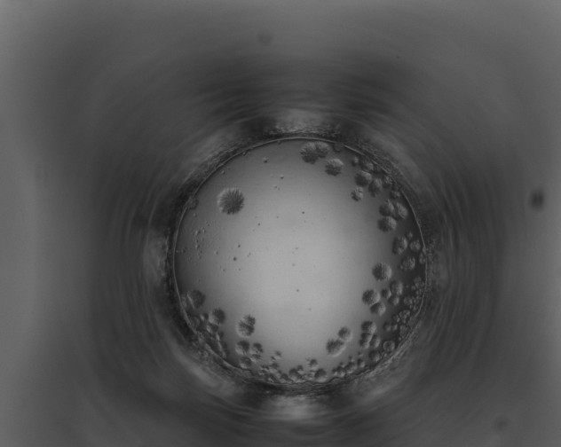 X0000095690171200801151157