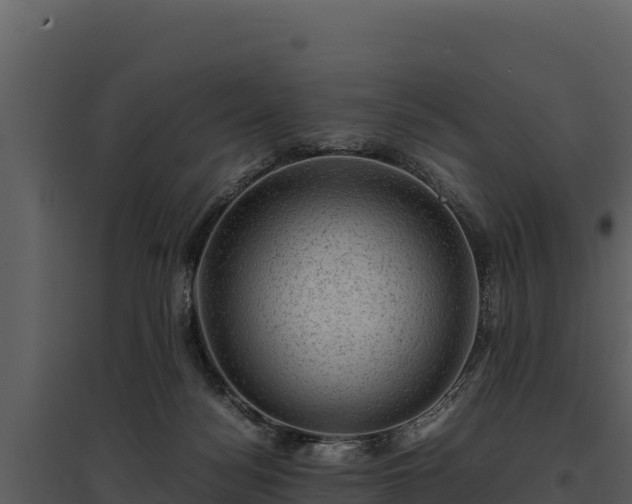 X0000095690172200801151157