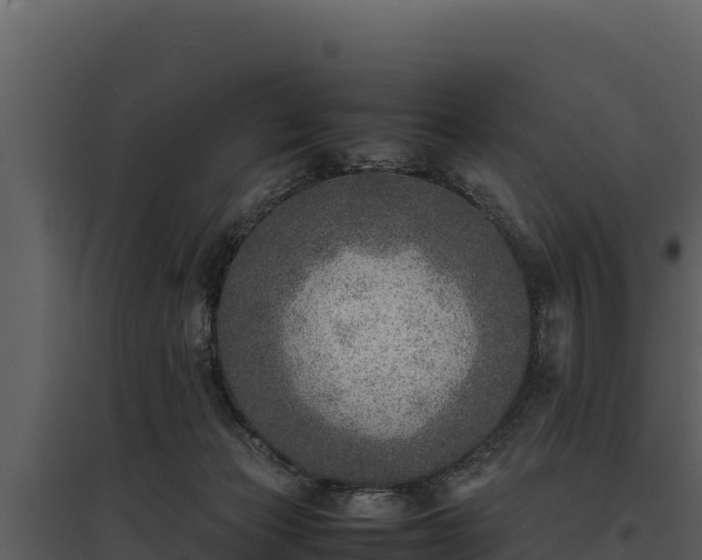 X0000095690173200801151157