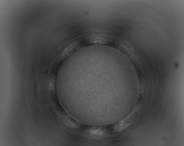 X0000095690175200801151157