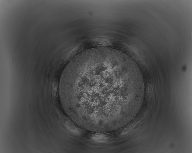 X0000095690177200801151157