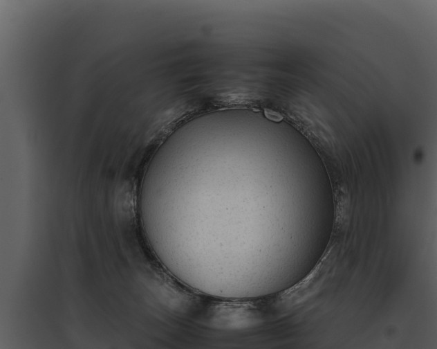 X0000095690179200801151157