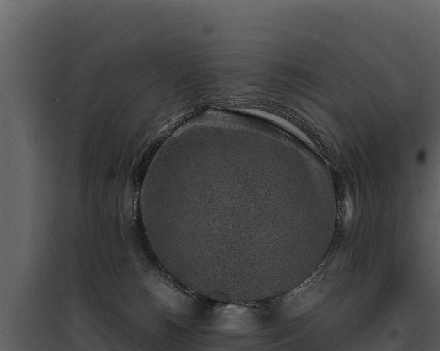 X0000095690180200801151157