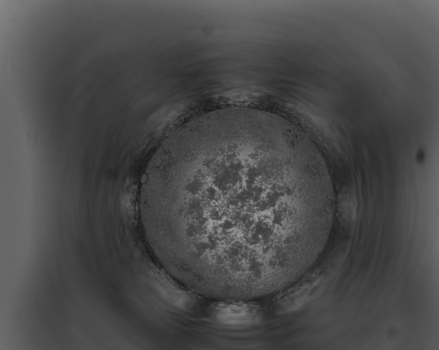 X0000095690181200801151157