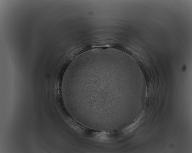 X0000095690182200801151157