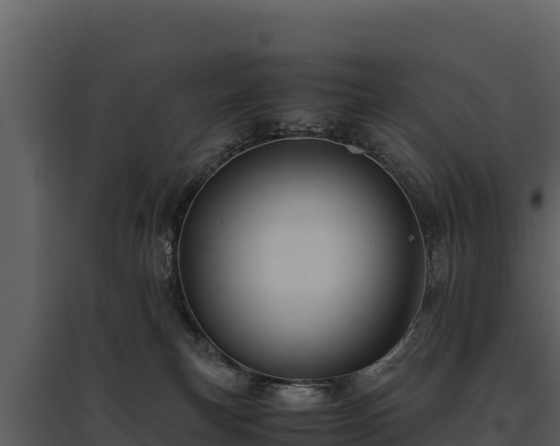 X0000095690183200801151157