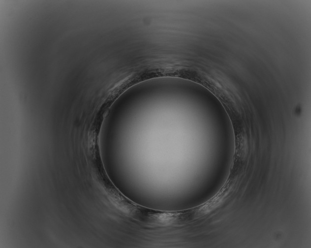 X0000095690184200801151157