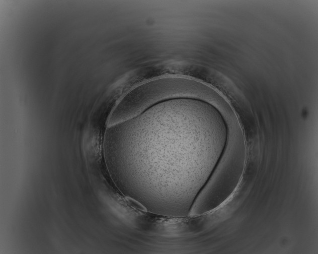 X0000095690186200801151157