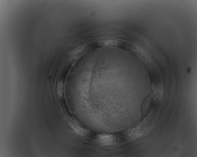 X0000095690189200801151157