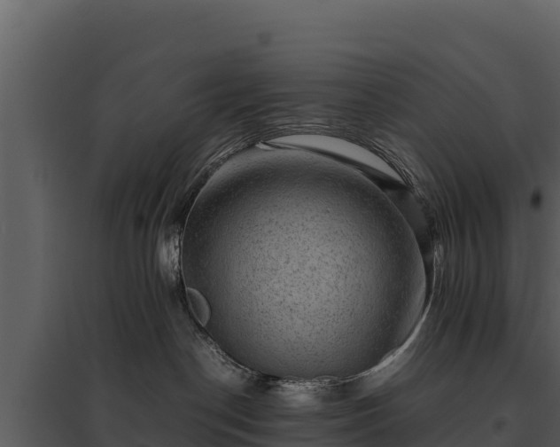 X0000095690190200801151157