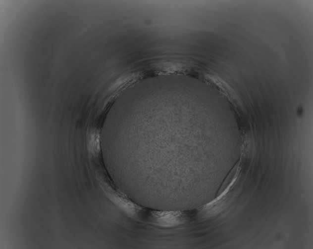 X0000095690191200801151157