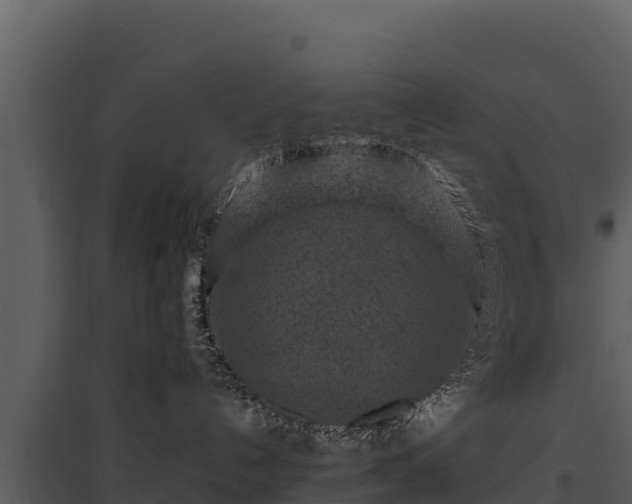 X0000095690192200801151157