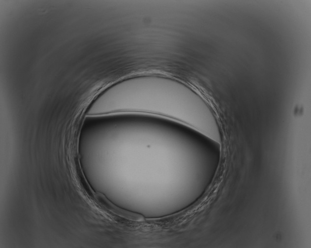 X0000095690193200801151156