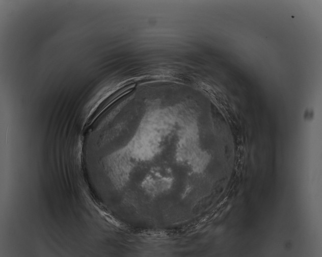 X0000095690194200801151156