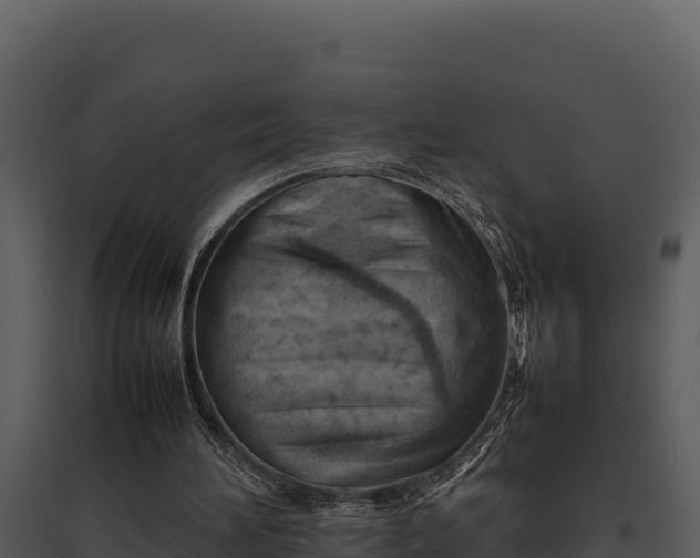 X0000095690196200801151156