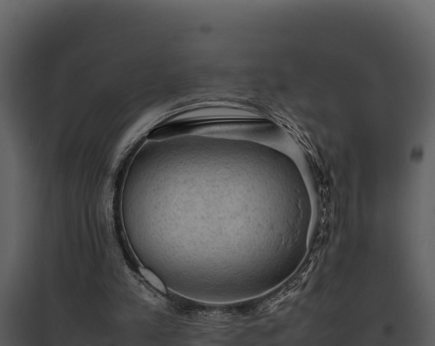 X0000095690197200801151156