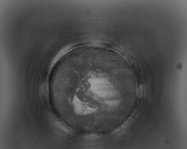 X0000095690198200801151156