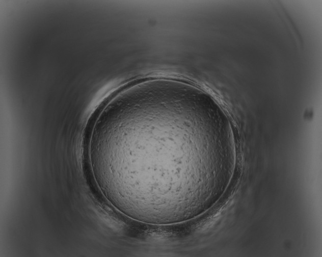 X0000095690199200801151156