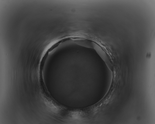 X0000095690200200801151156