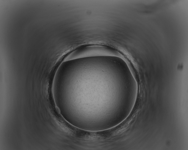 X0000095690201200801151156