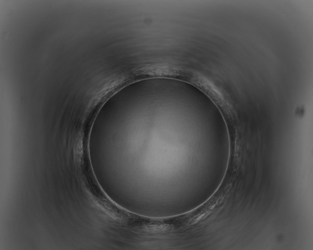 X0000095690202200801151156