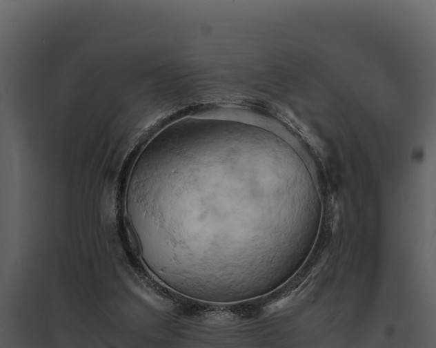 X0000095690203200801151156