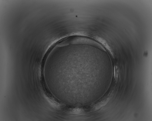 X0000095690204200801151156