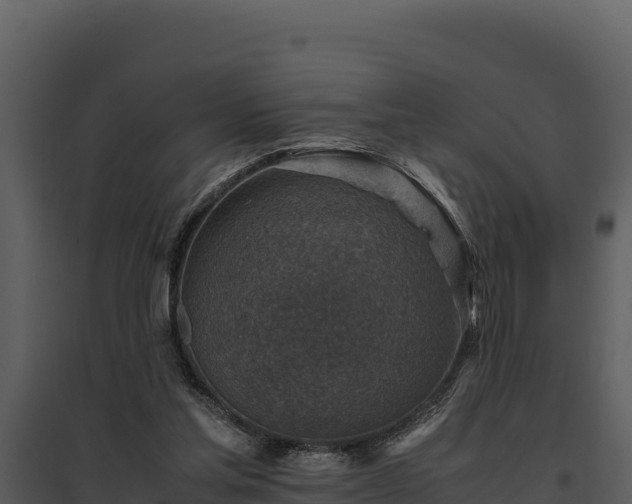 X0000095690205200801151156